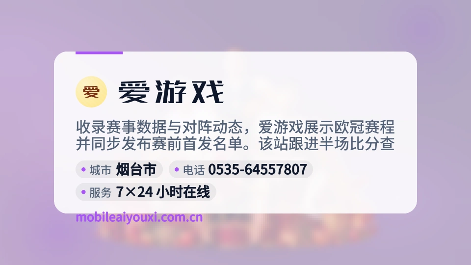 爱游戏概况